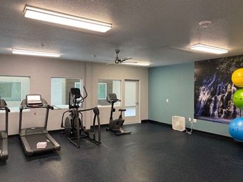 Gym with cardio equipment